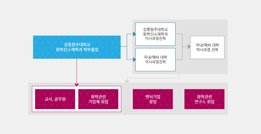 화학신소재학과를 졸업한 후의 진로